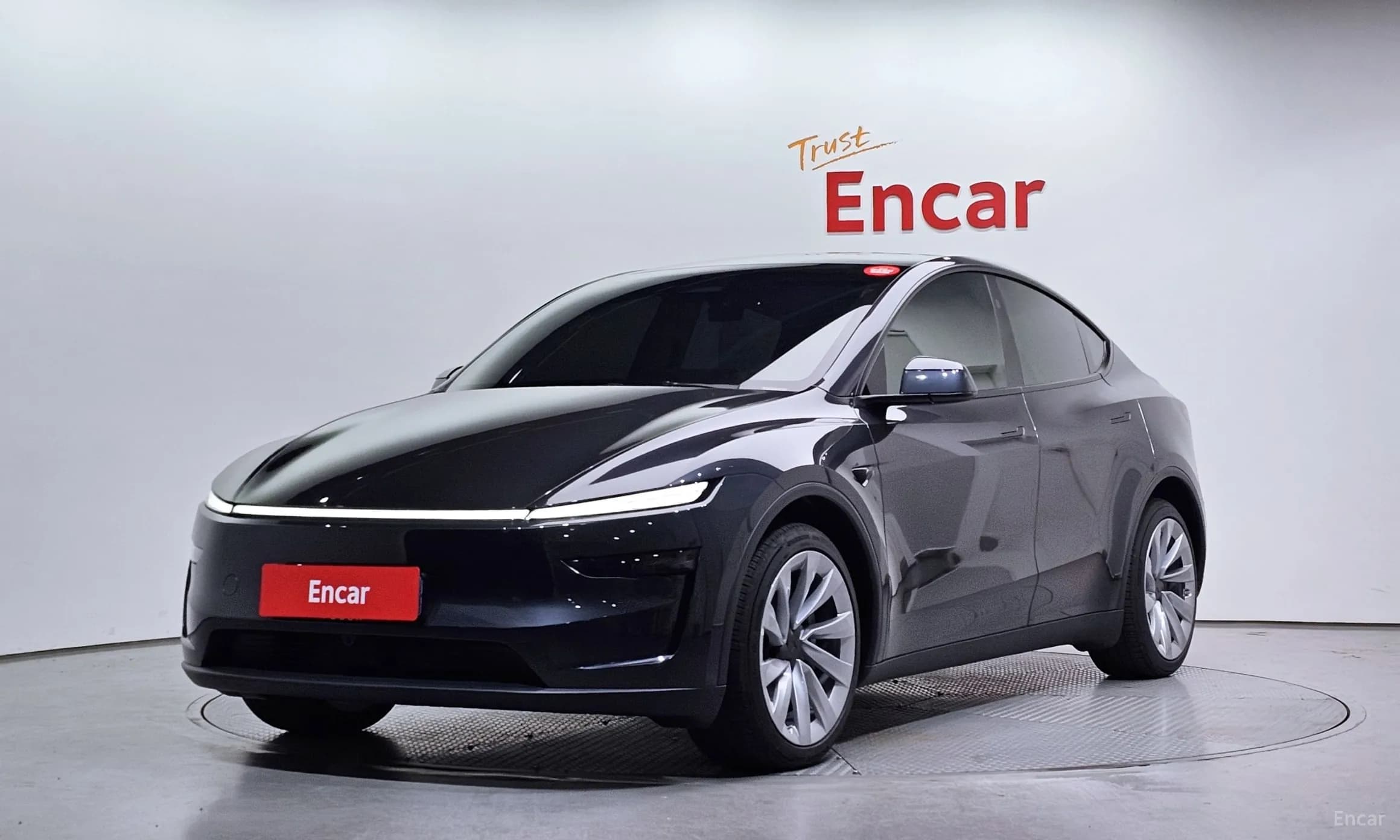 Model Y