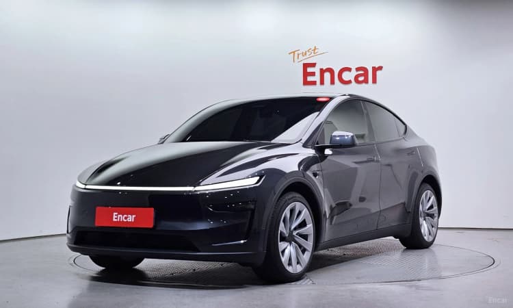 Model Y