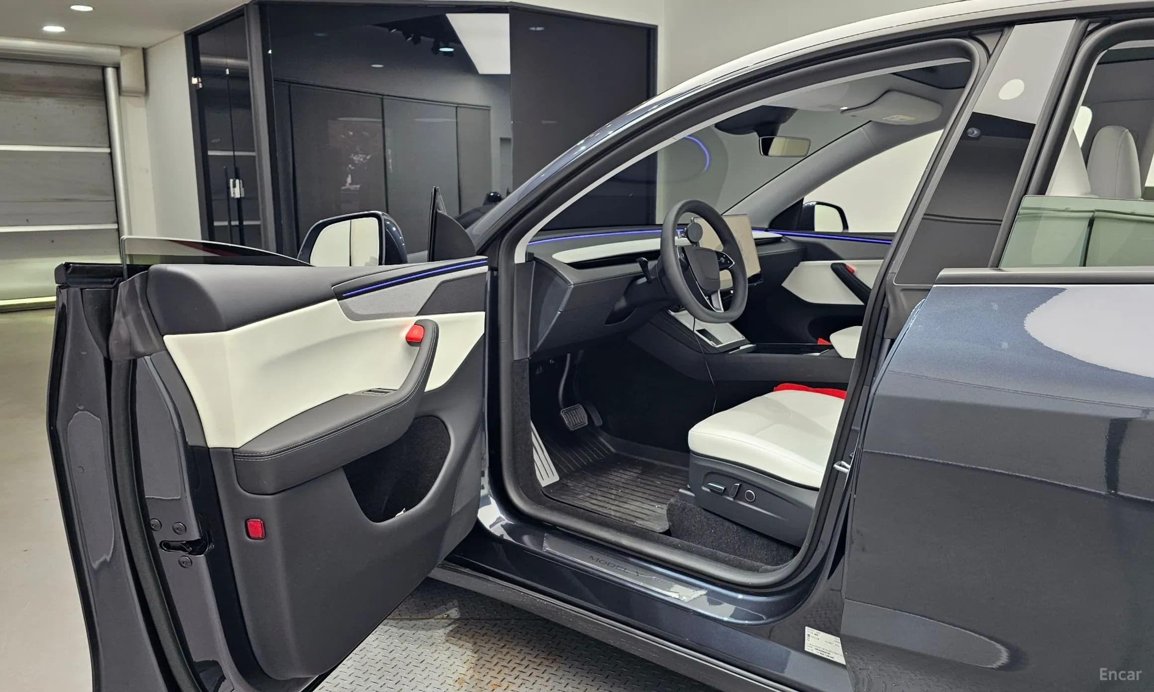 Model Y