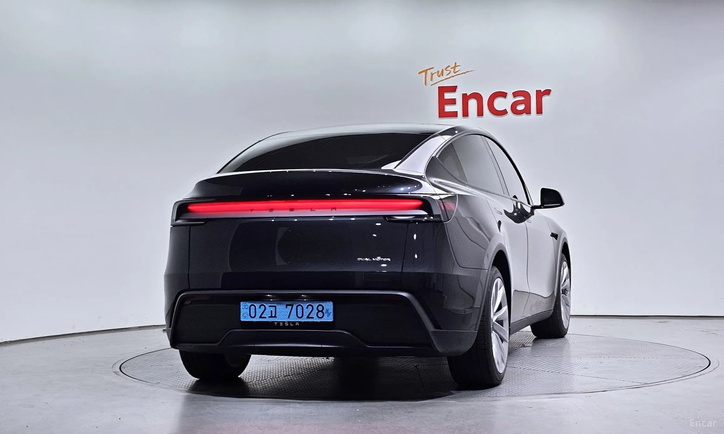 Model Y