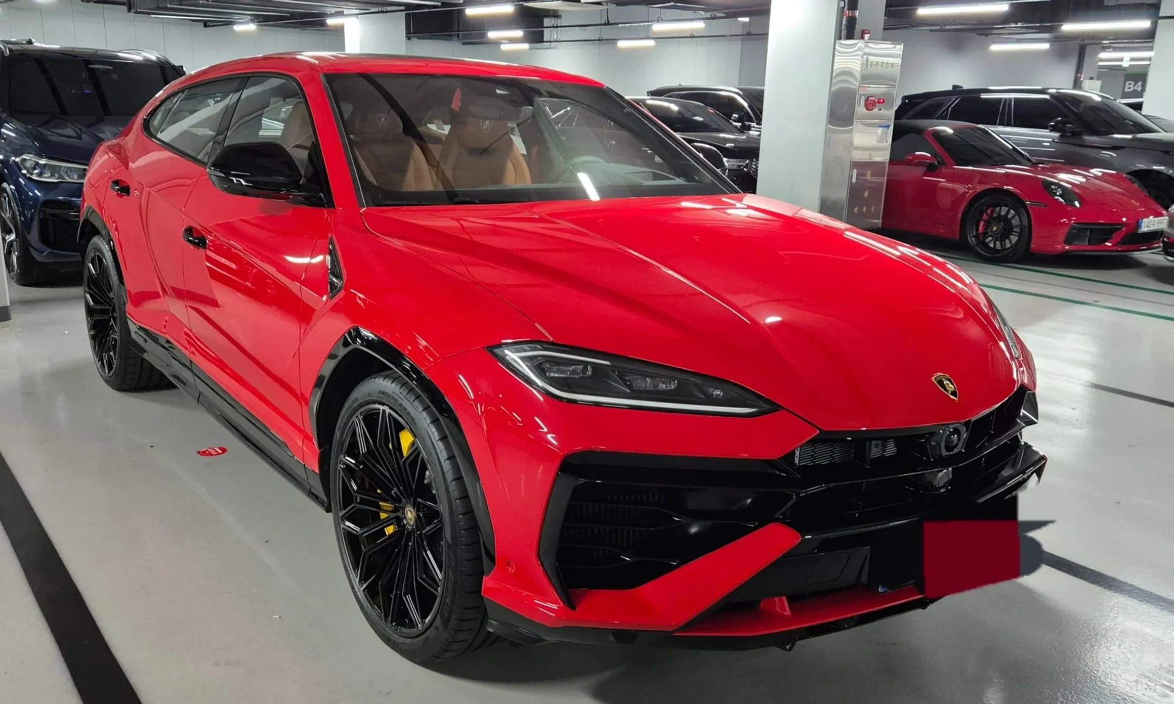 Urus