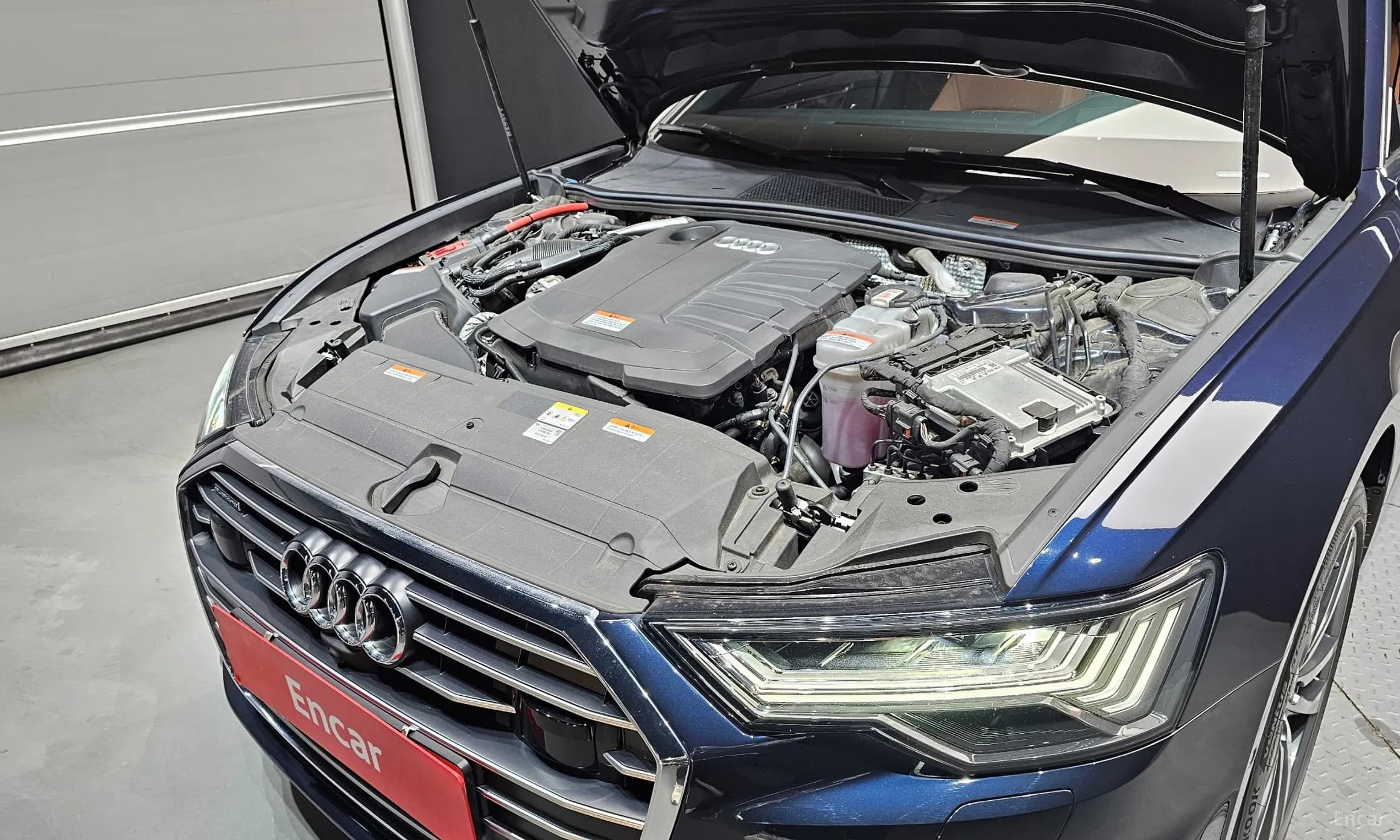 A6 (C8)