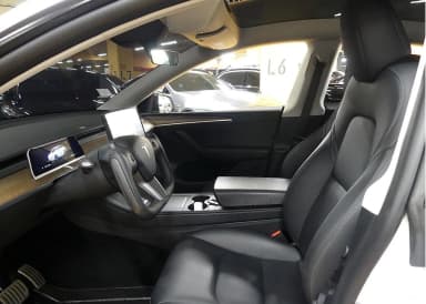 Model Y