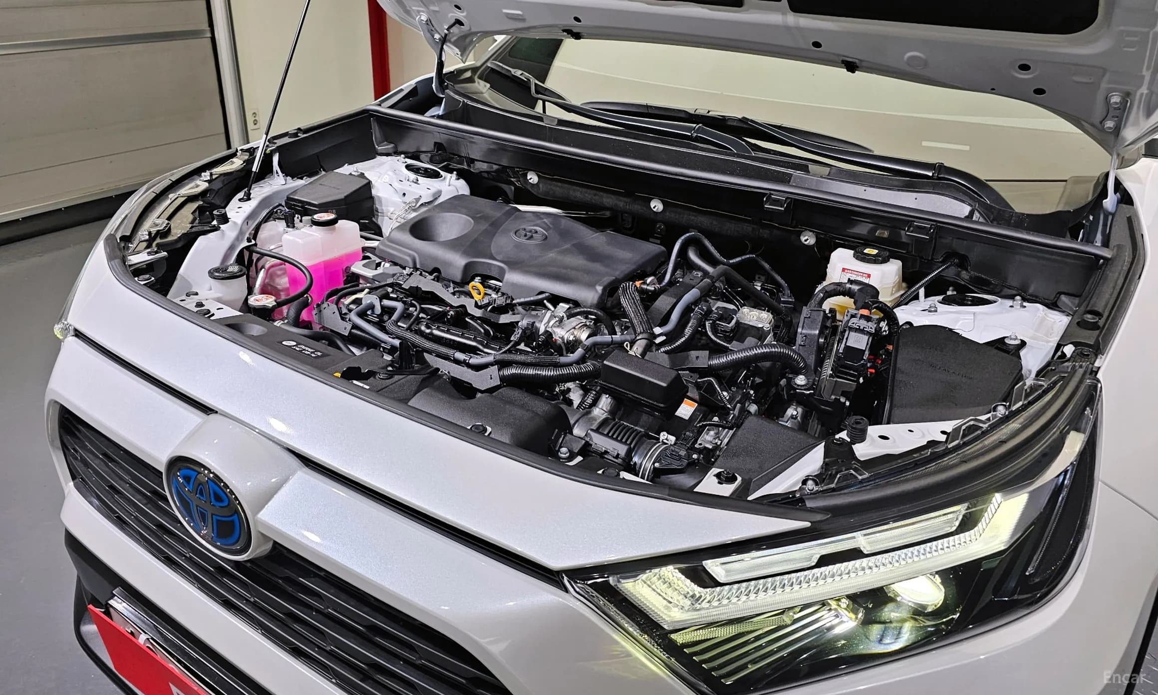 RAV4 5th Generation