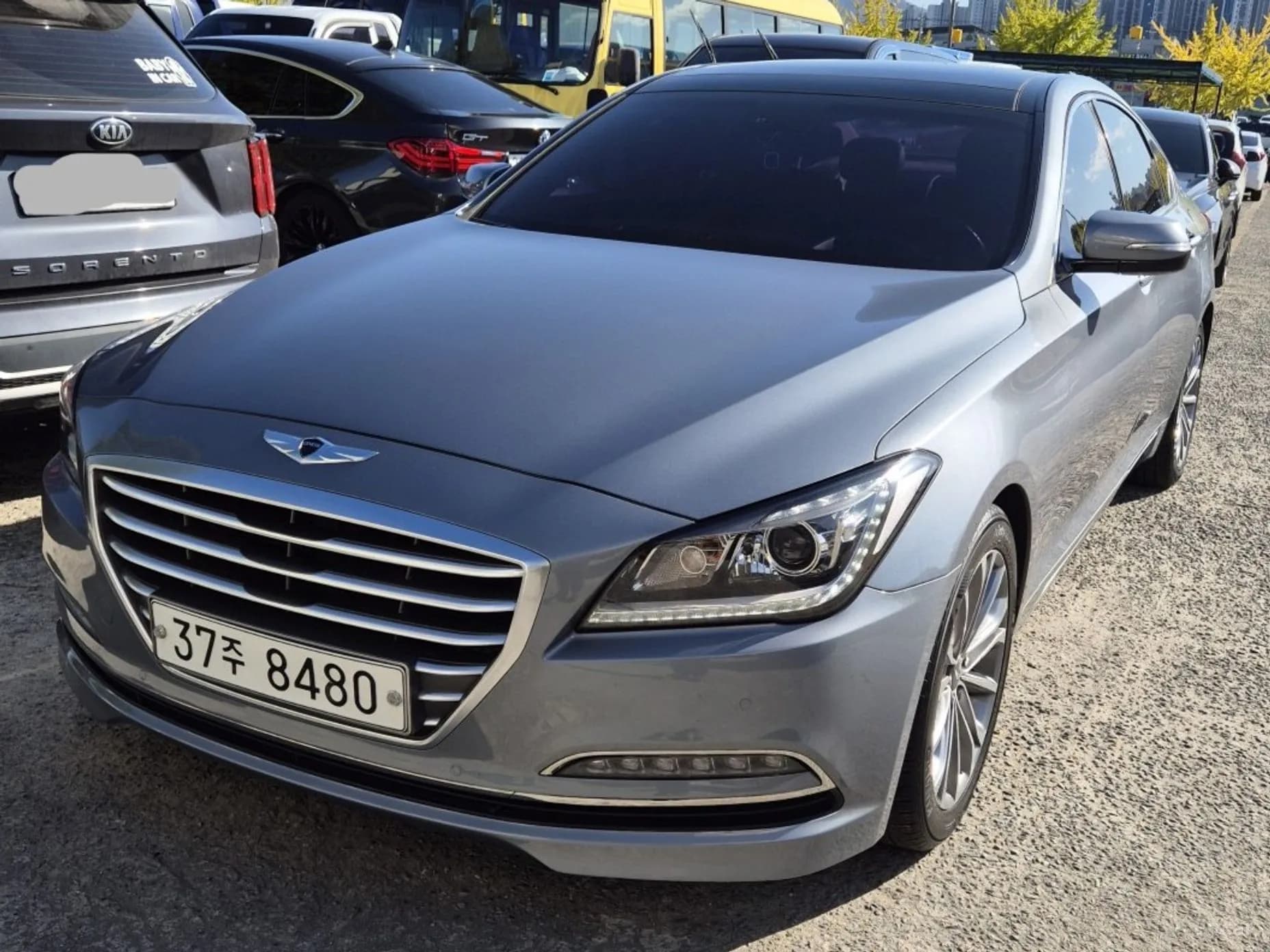 Genesis DH