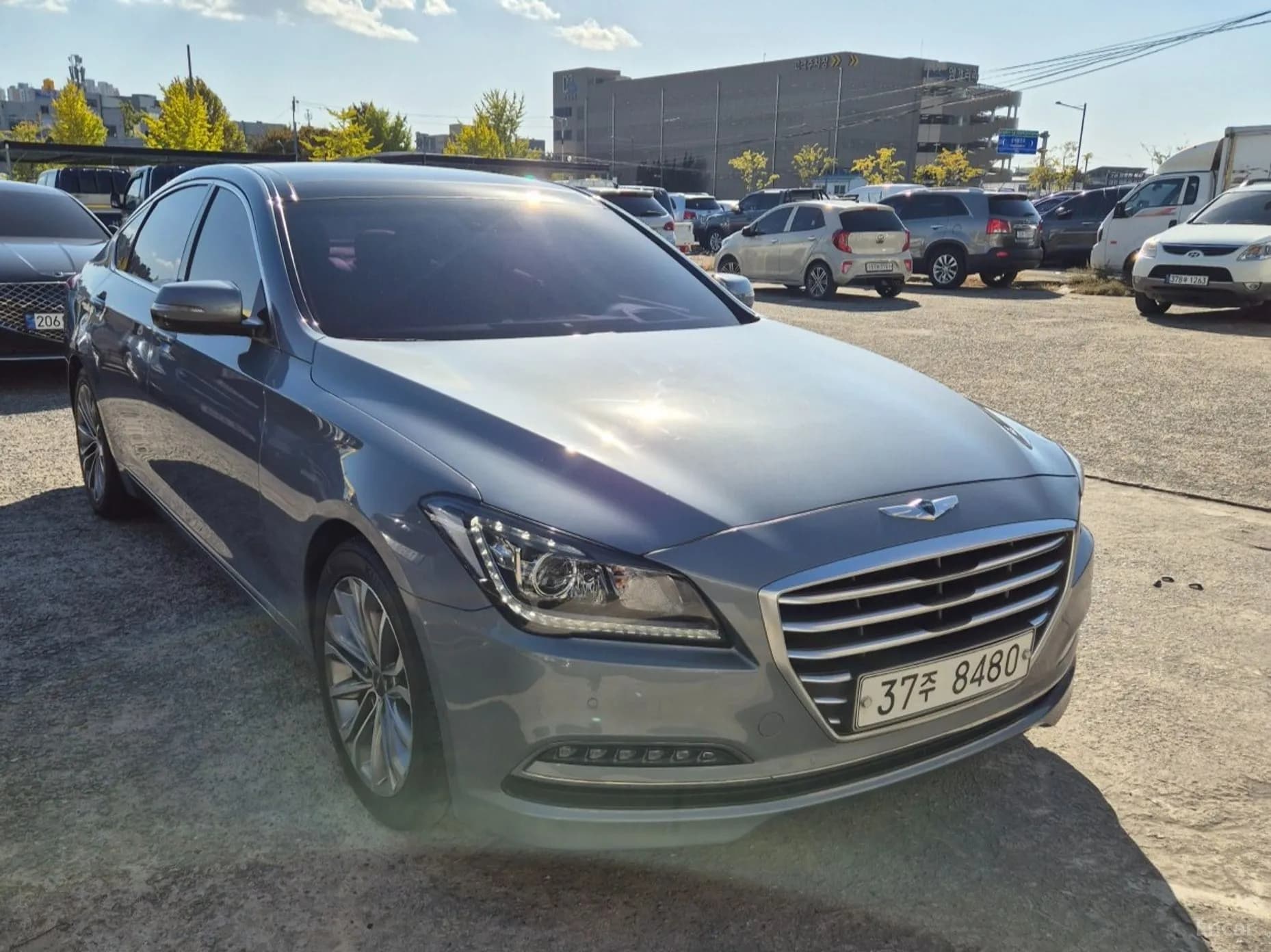 Genesis DH