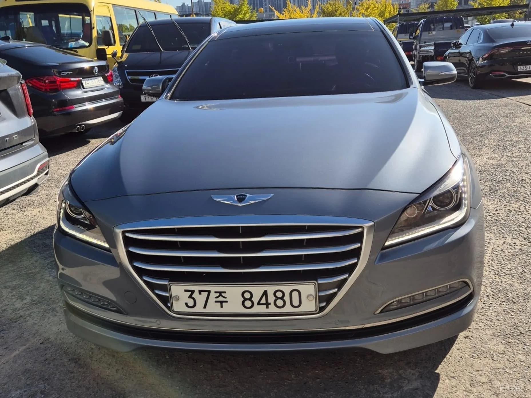 Genesis DH
