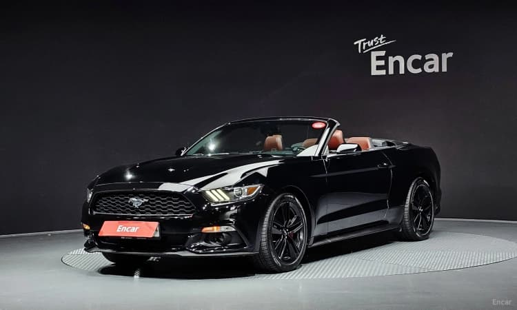Mustang