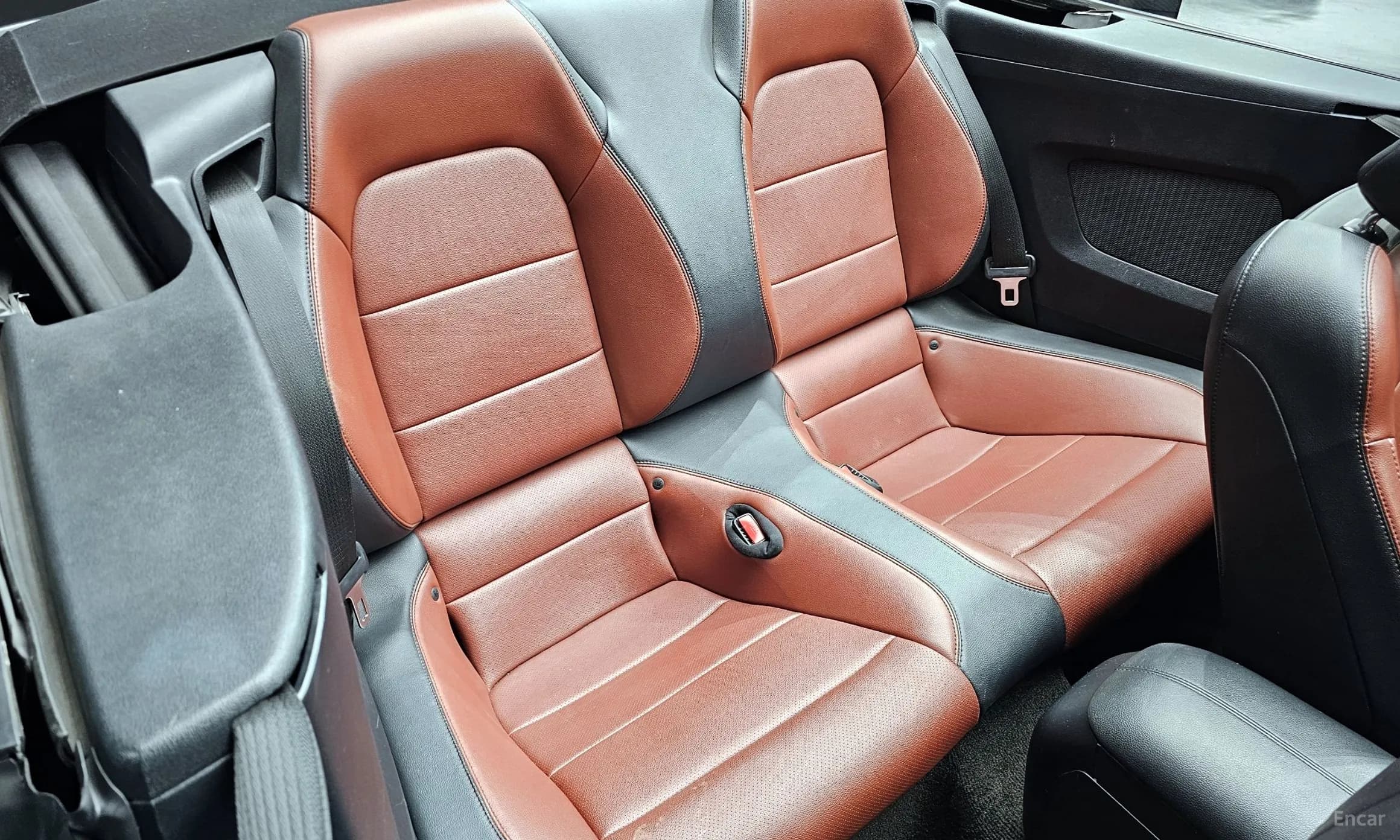 Mustang