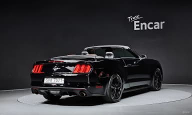Mustang