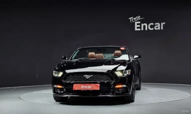 Mustang
