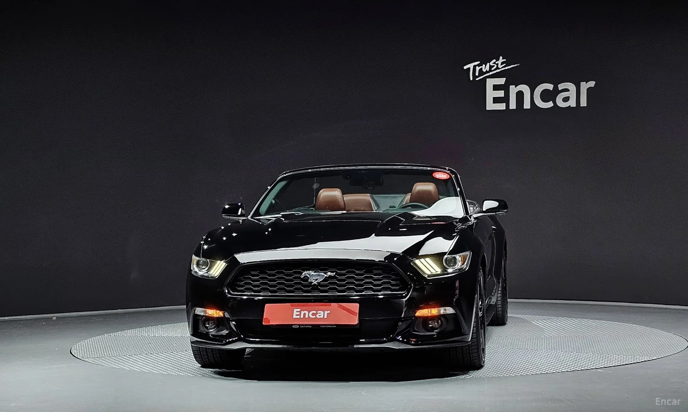 Mustang