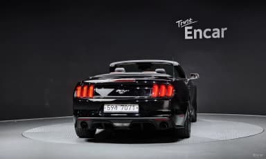 Mustang