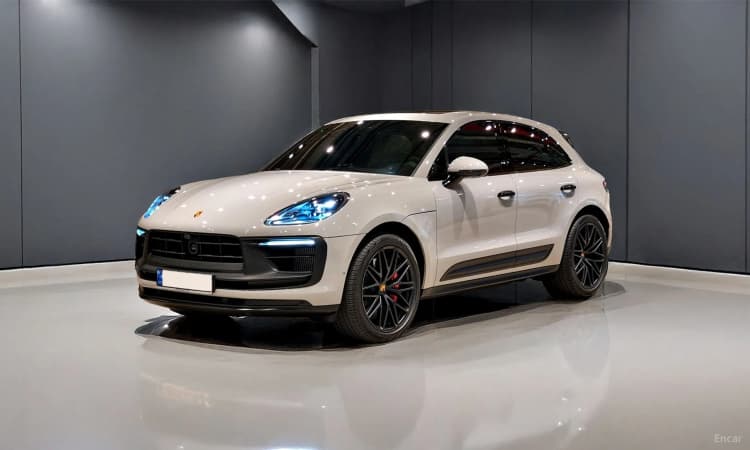 Macan