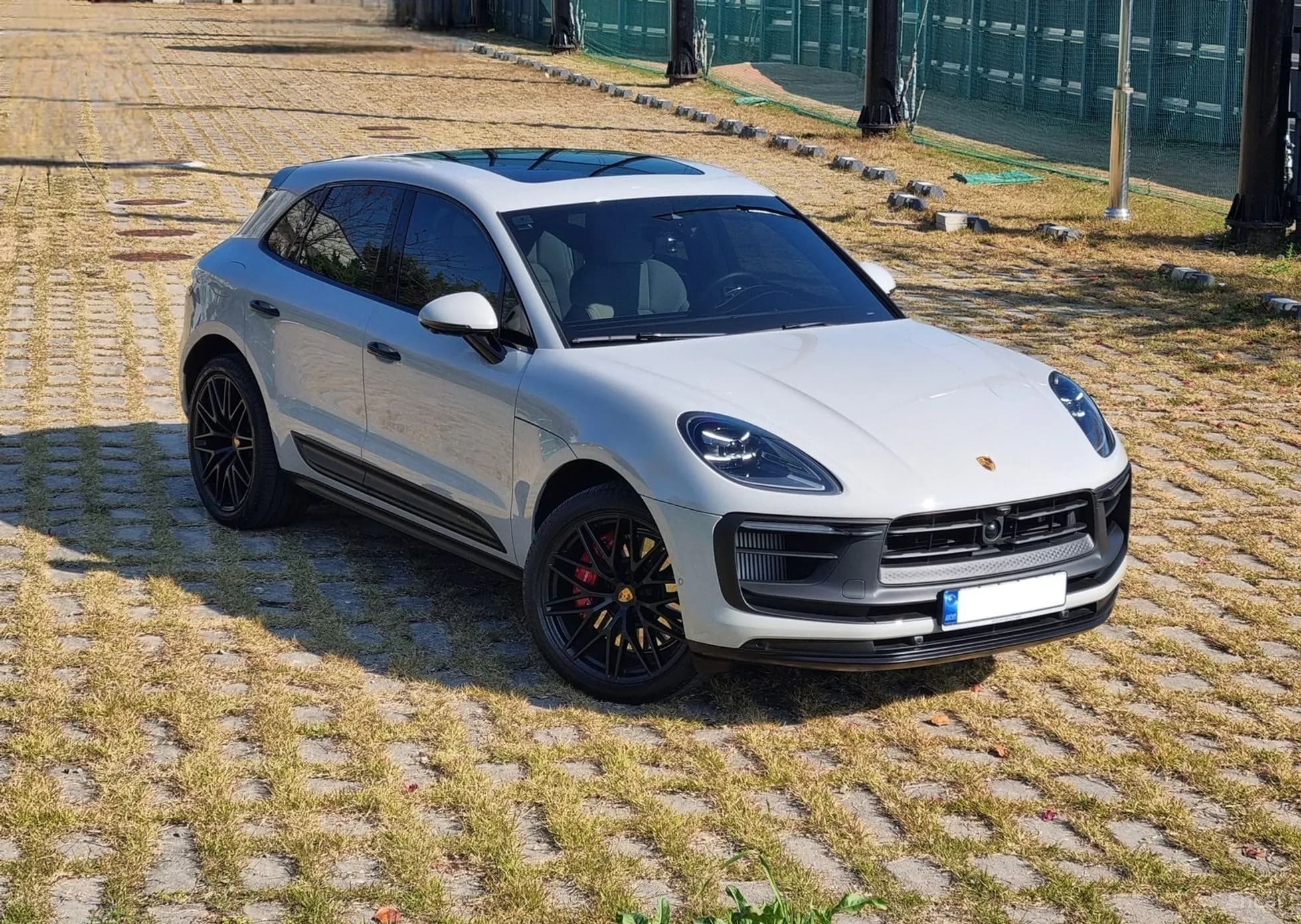 Macan