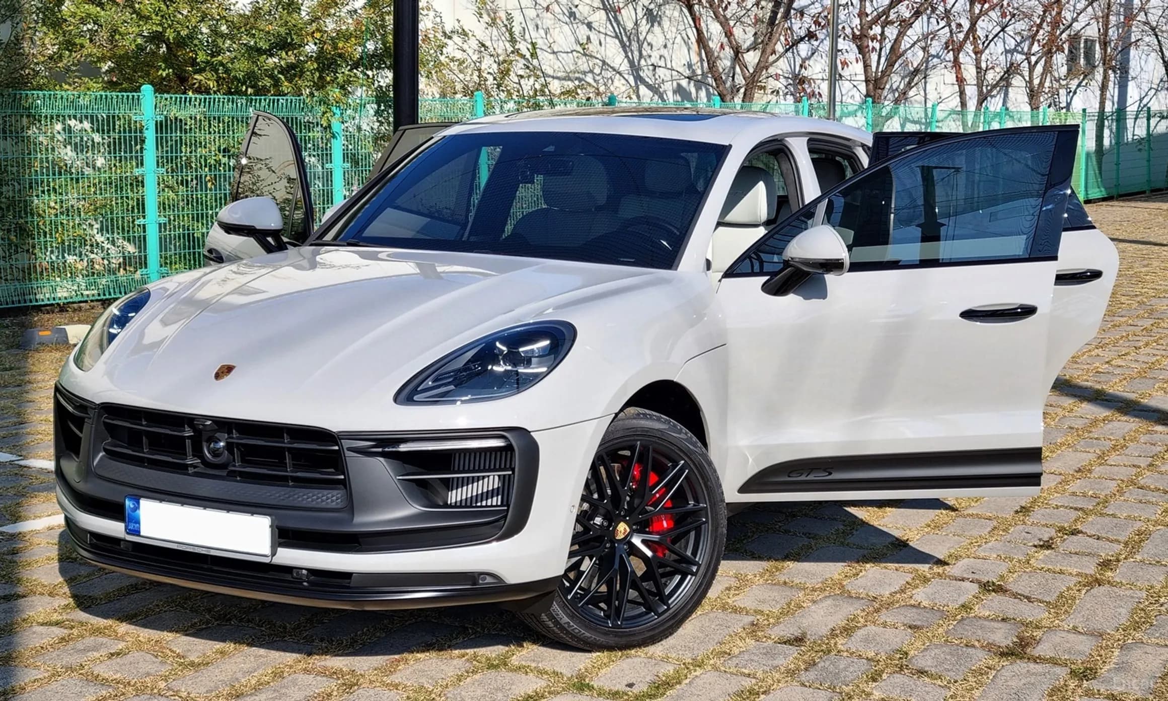 Macan