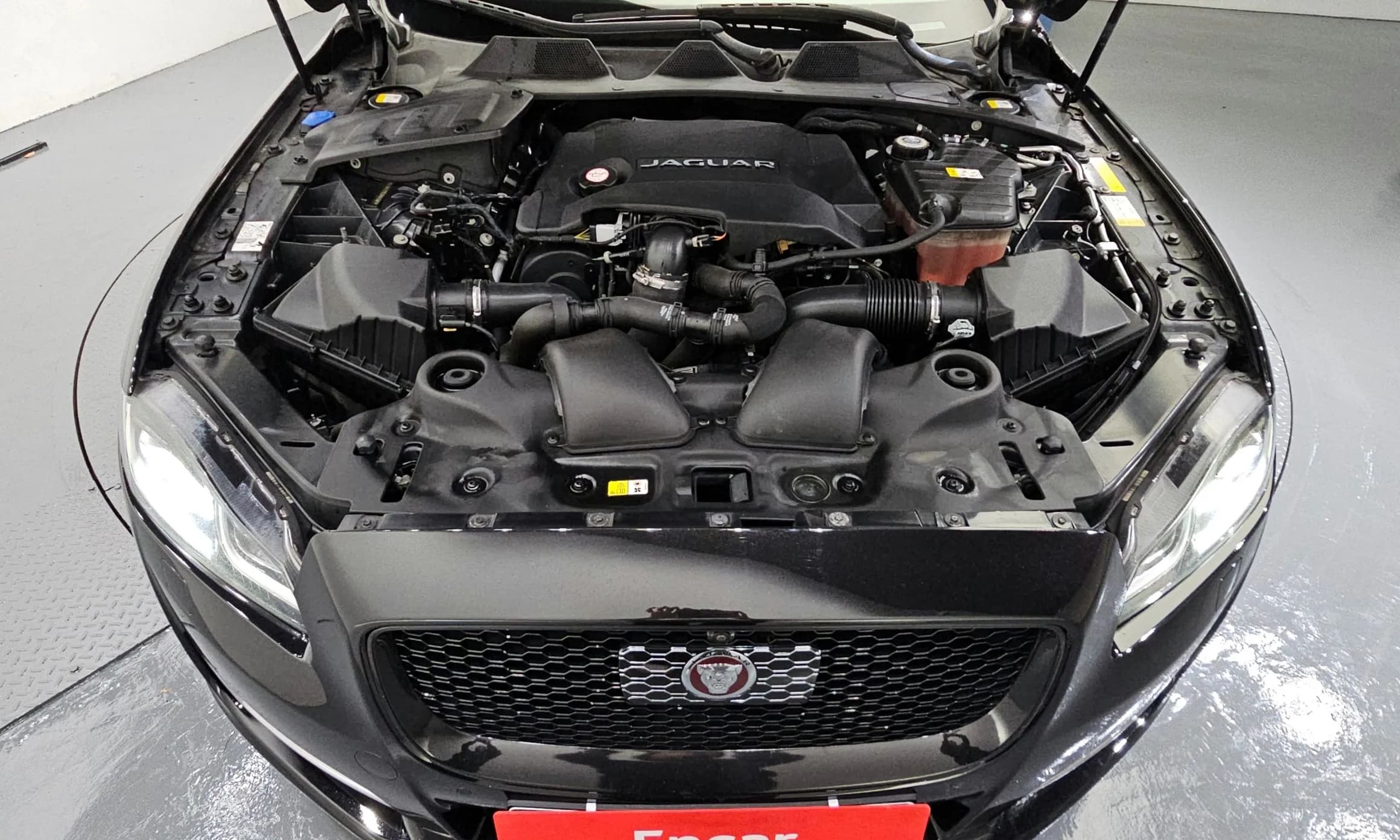 All New XJ