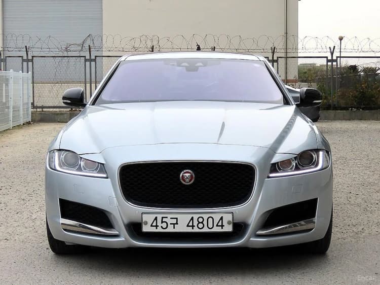 XF (x260)