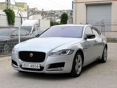 XF (x260)