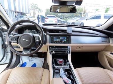 XF (x260)