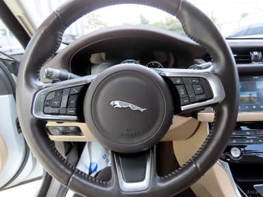 XF (x260)