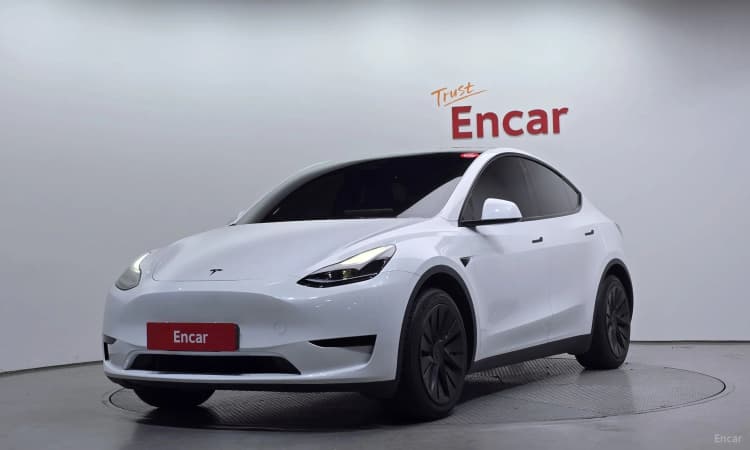 Model Y