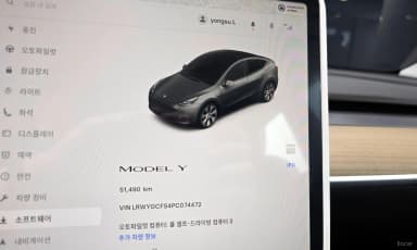 Model Y
