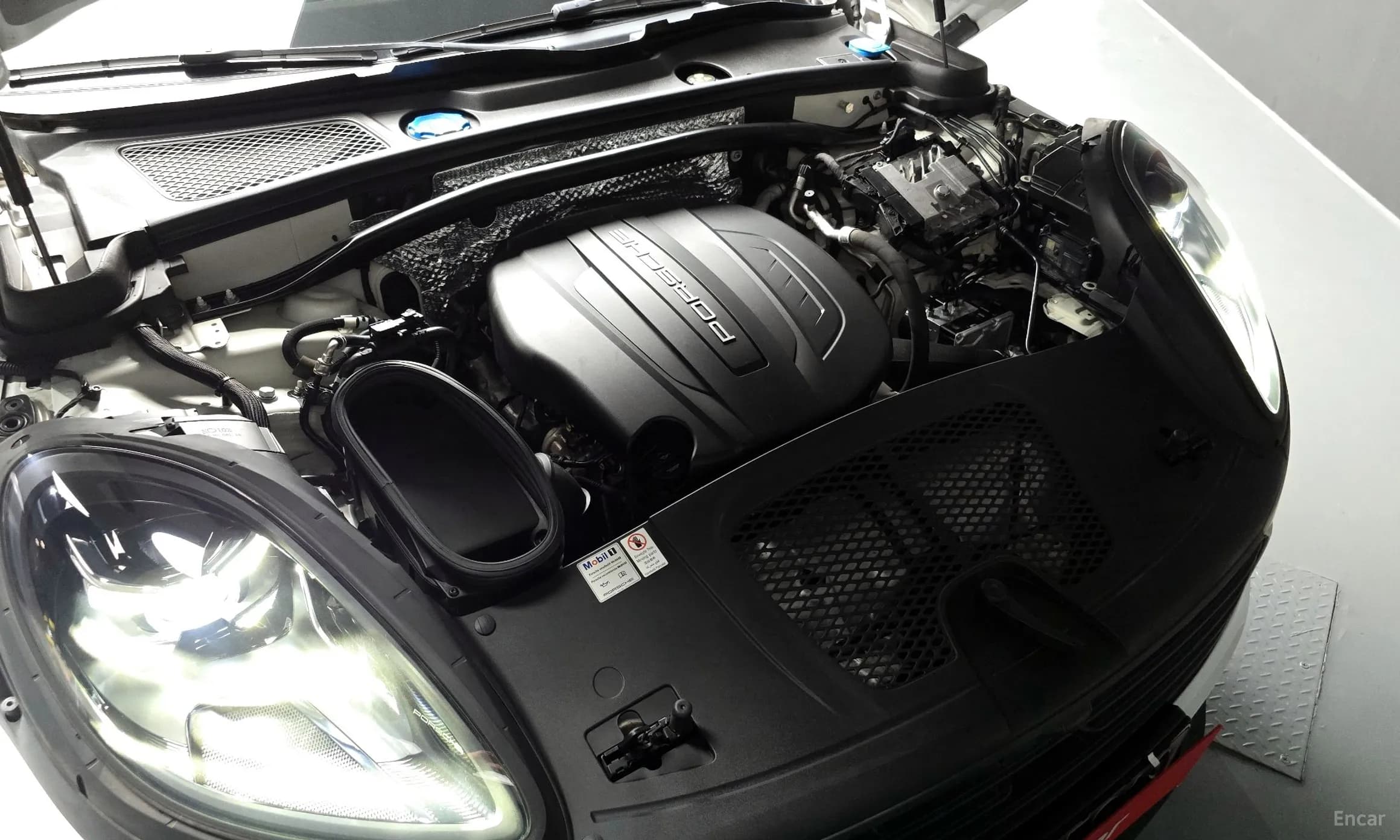 Macan
