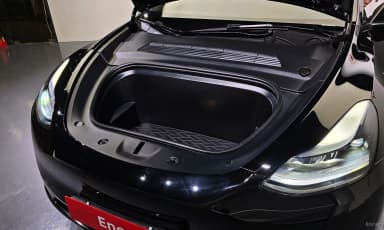 Model Y