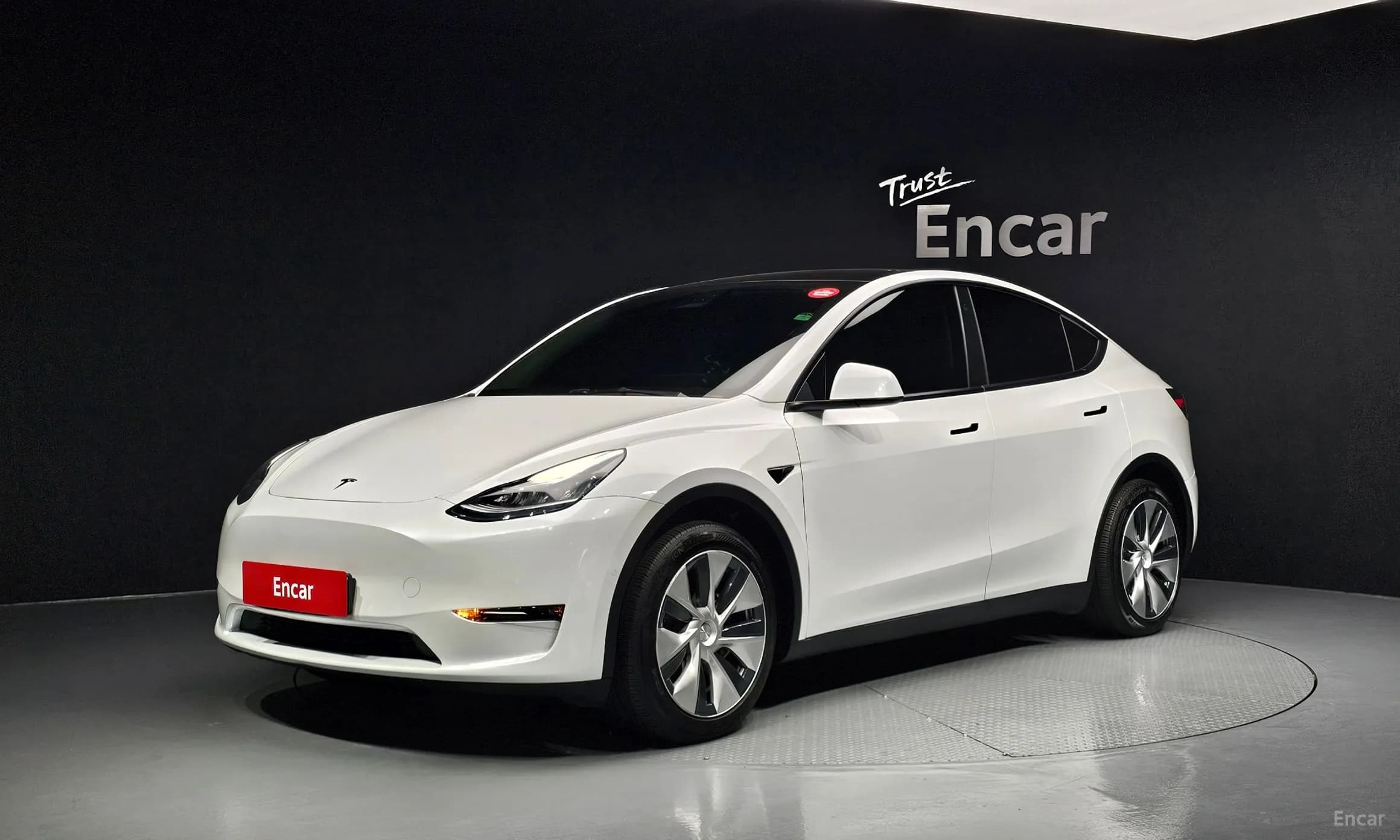Model Y