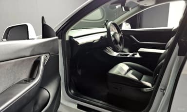 Model Y