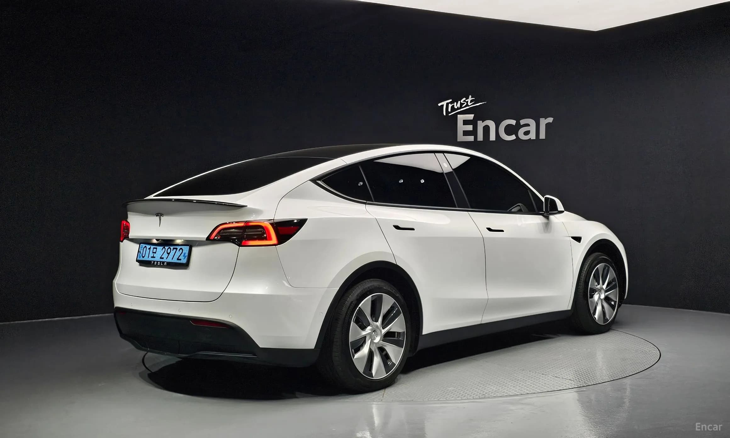 Model Y