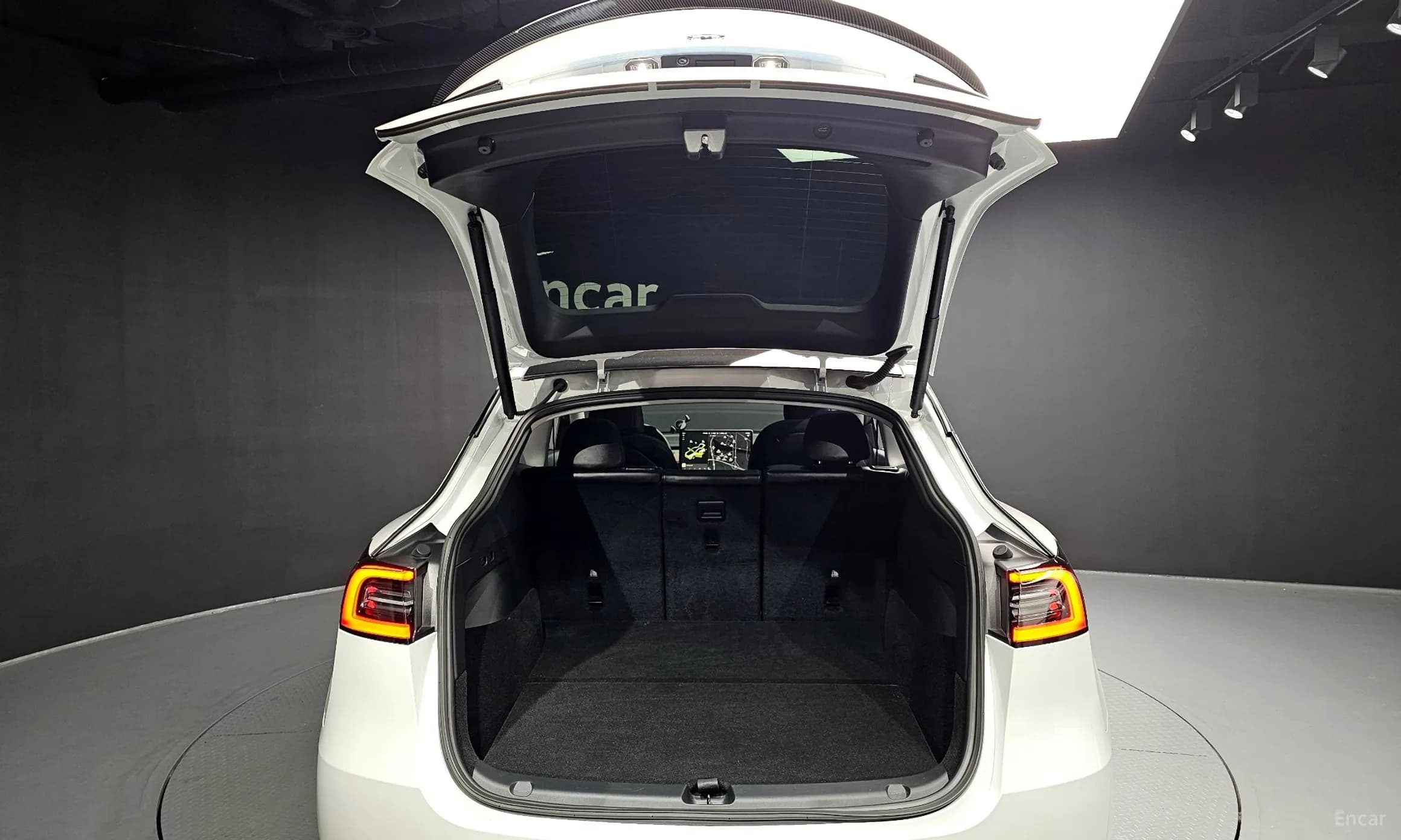 Model Y