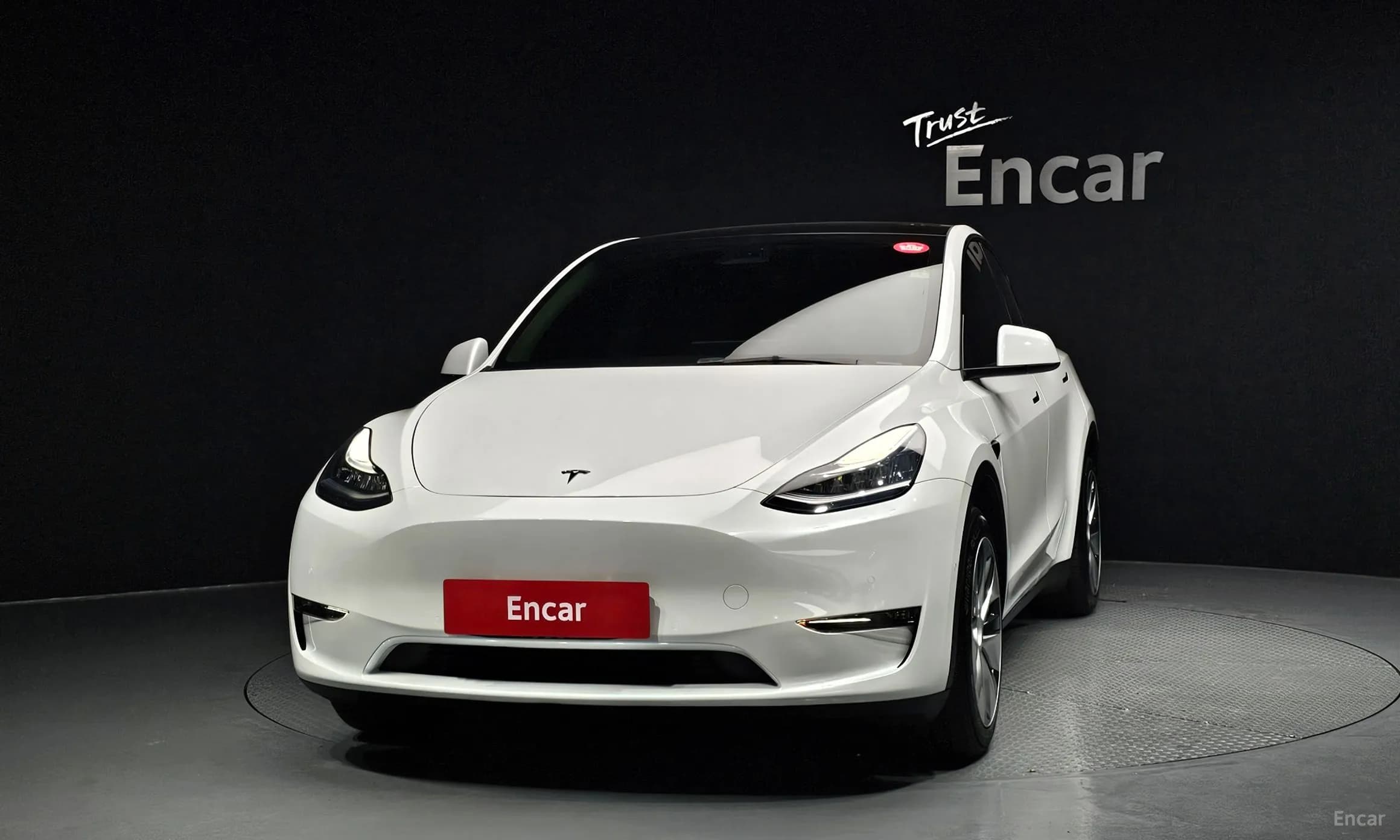 Model Y