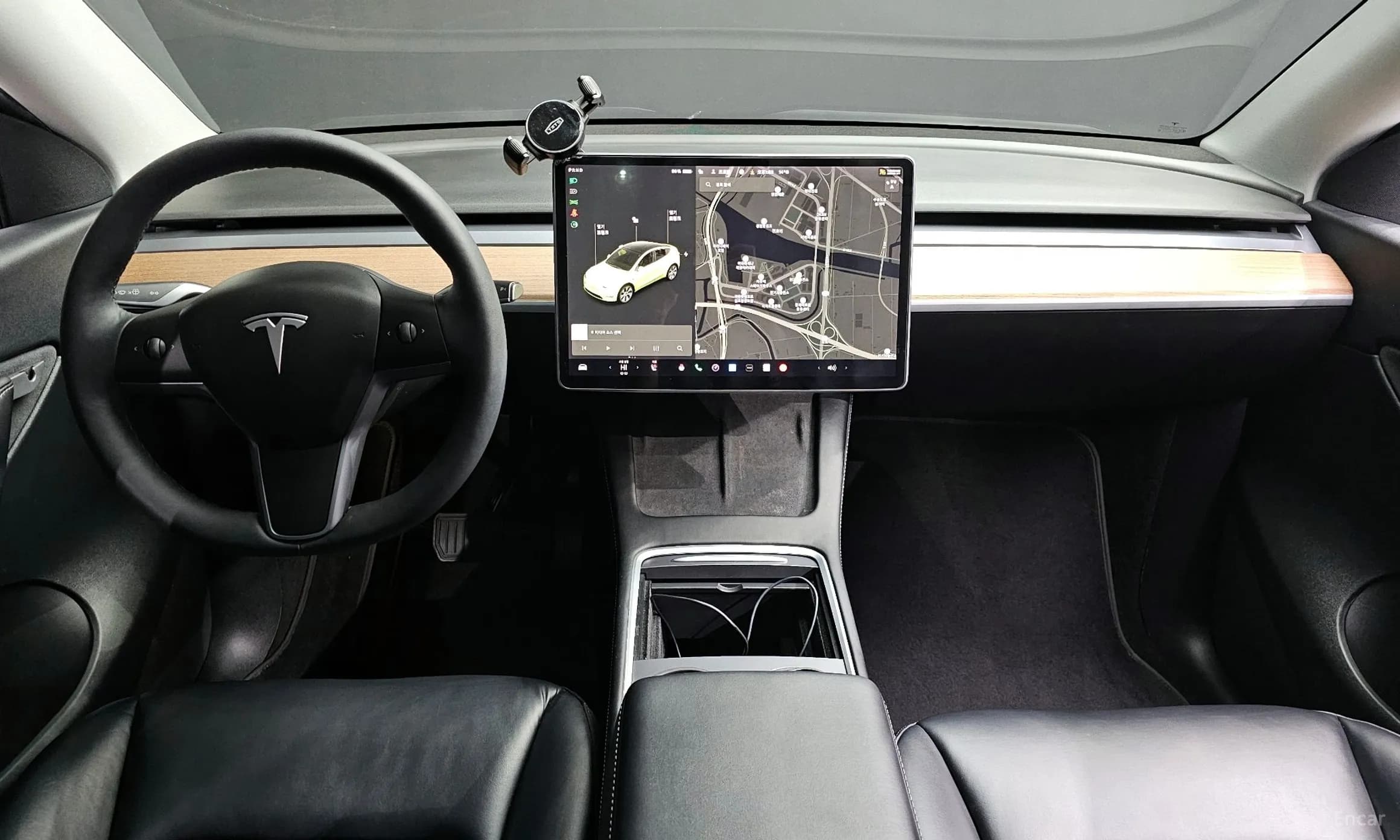 Model Y