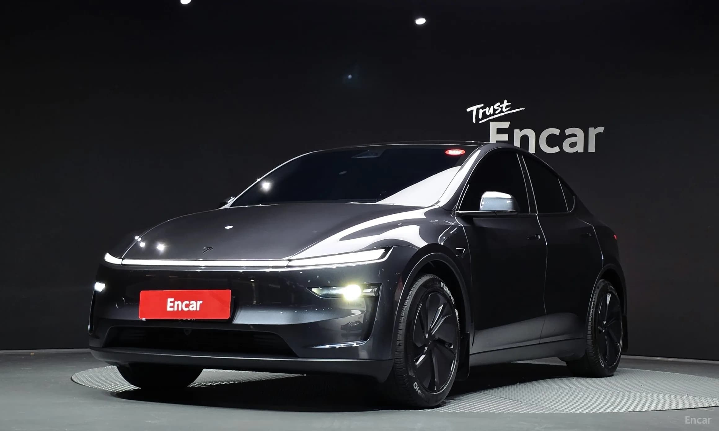 Model Y
