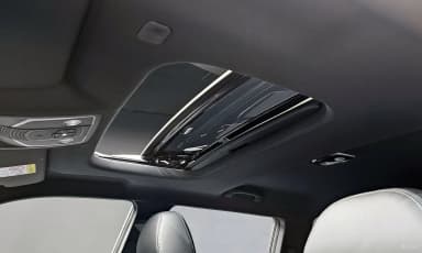 Rexton Sports