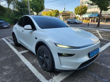 Model Y