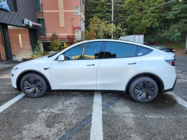 Model Y