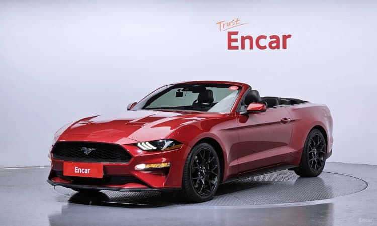 Mustang