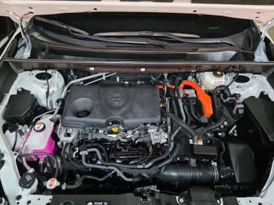 RAV4 5th Generation