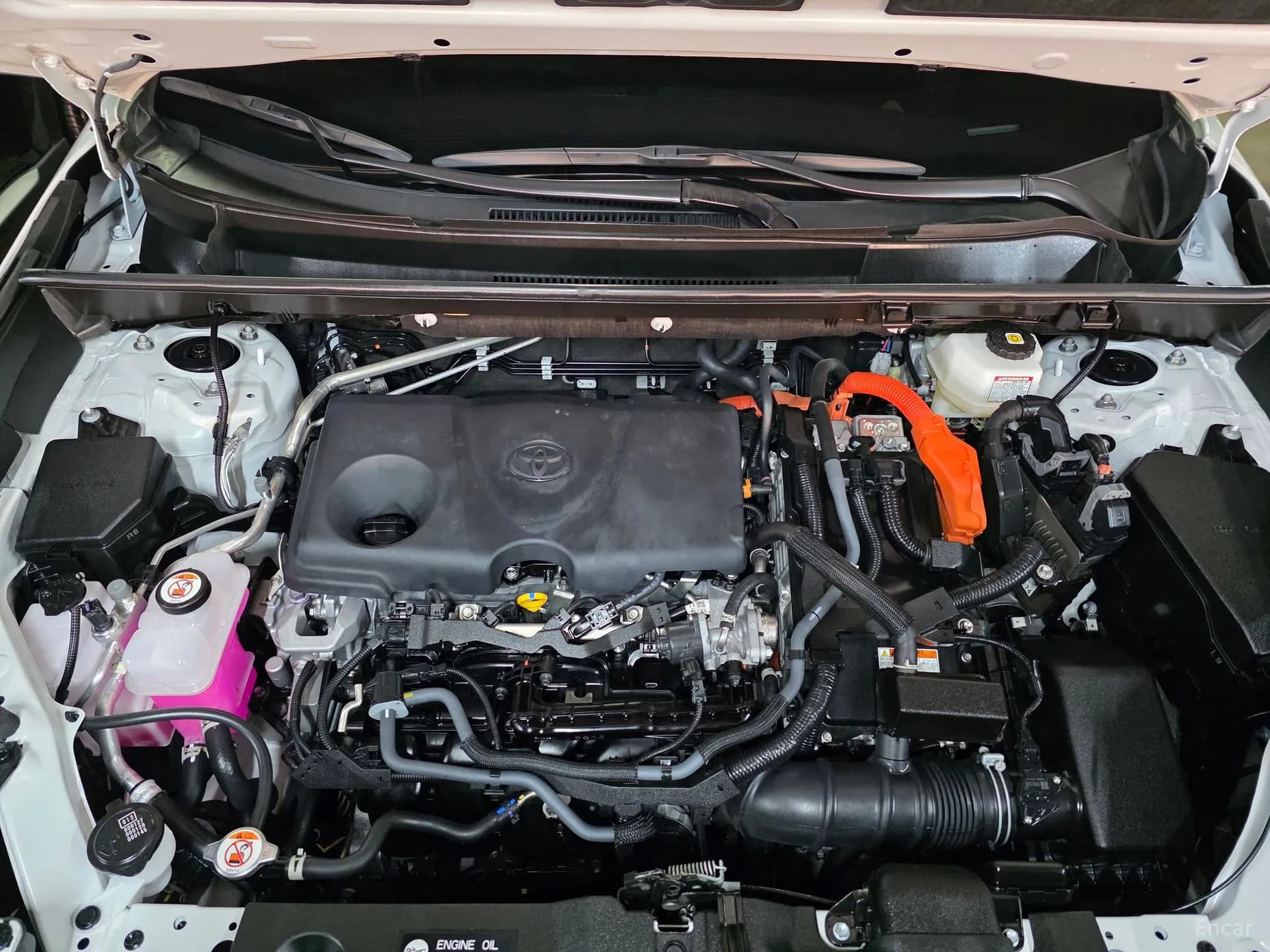 RAV4 5th Generation