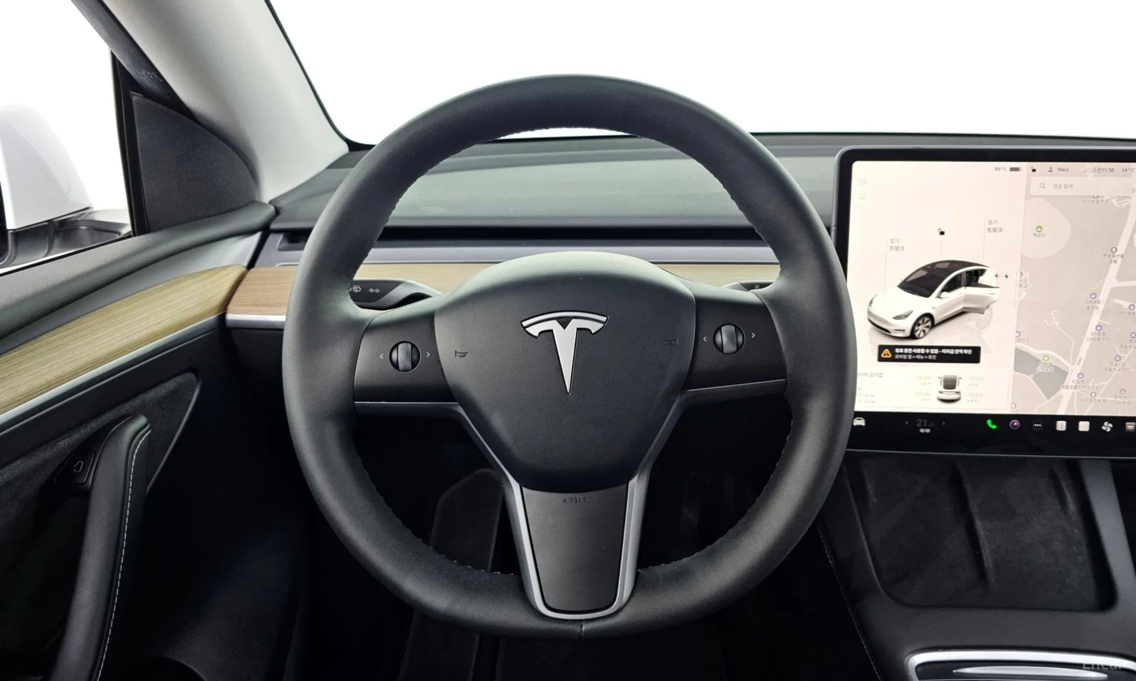 Model Y