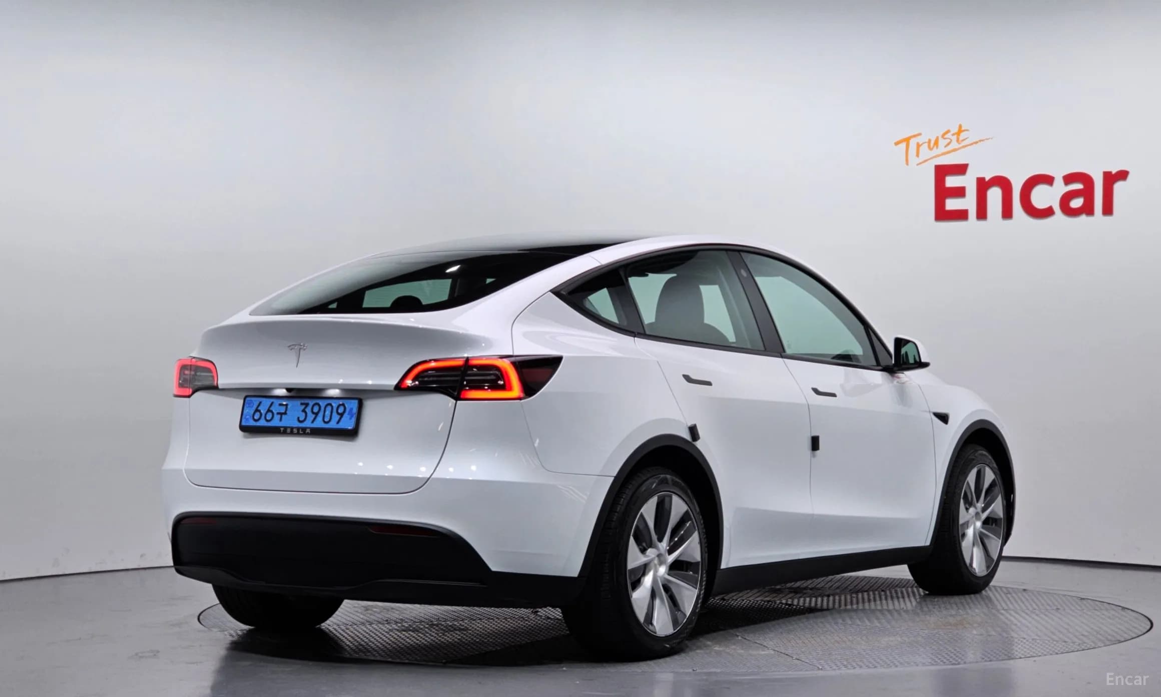 Model Y