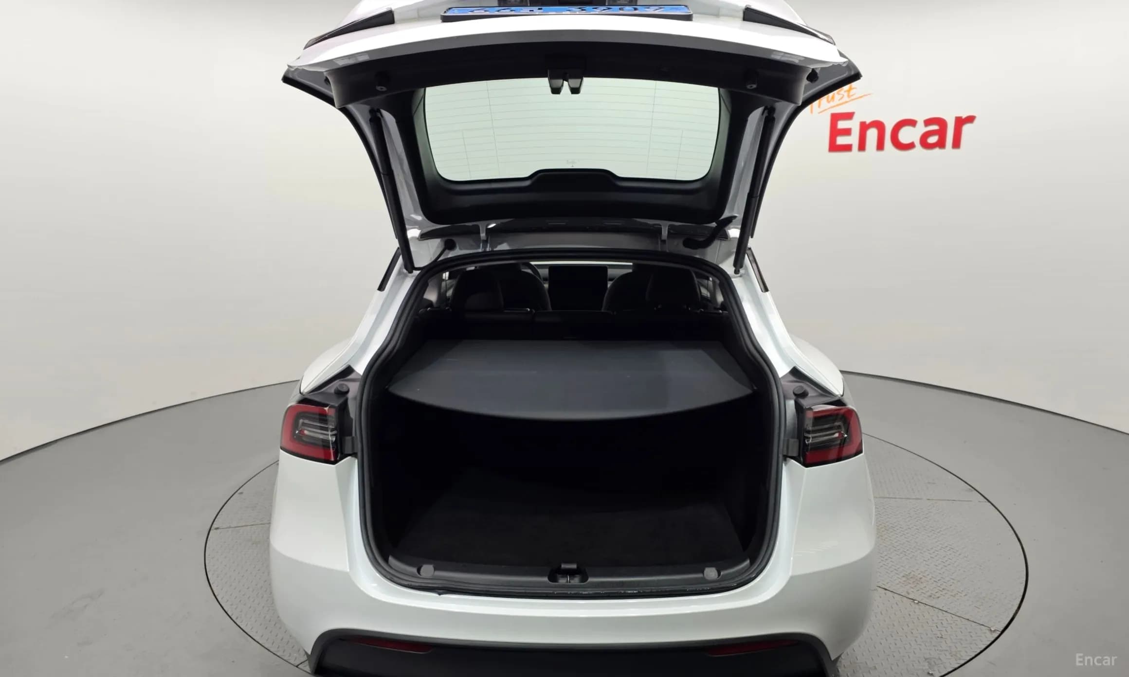 Model Y