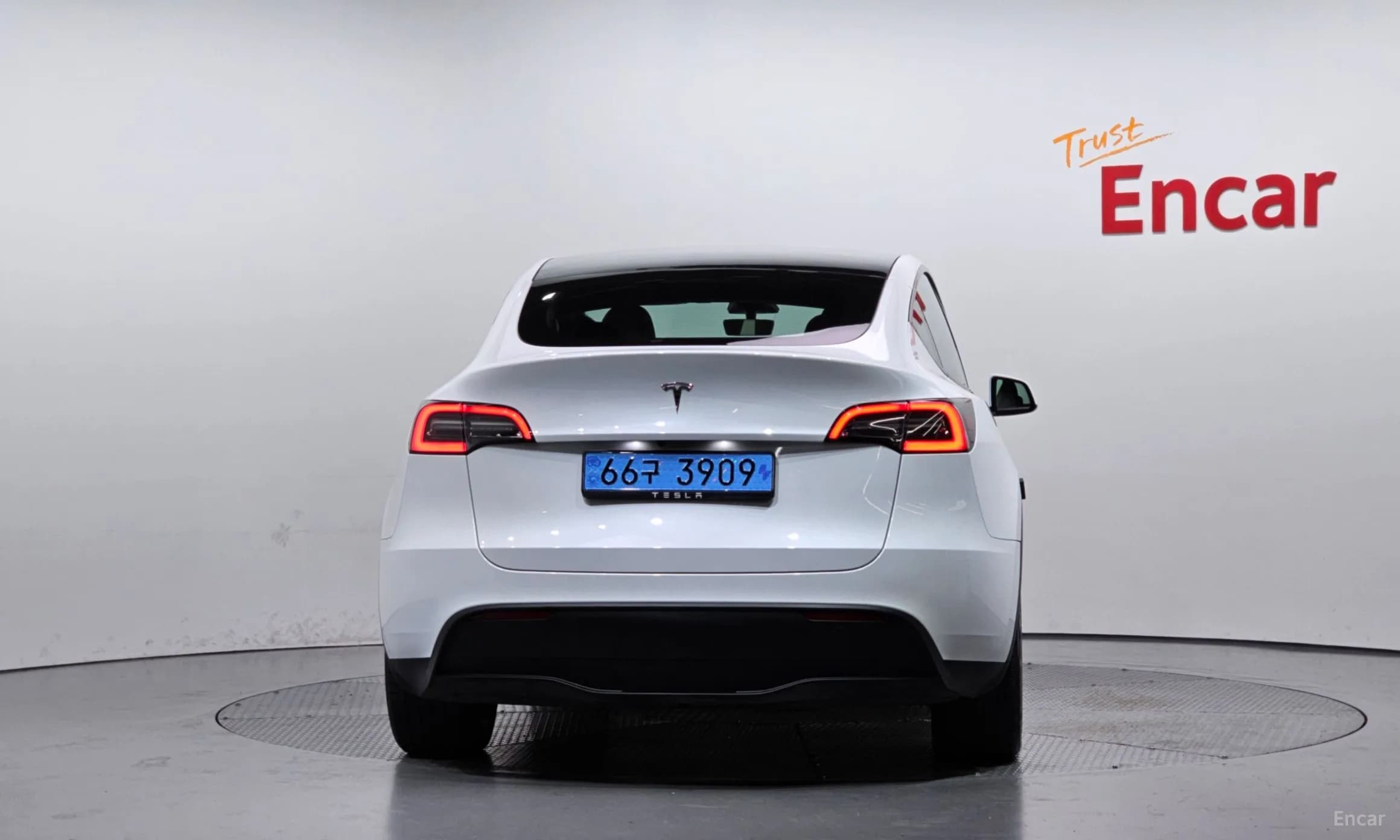 Model Y