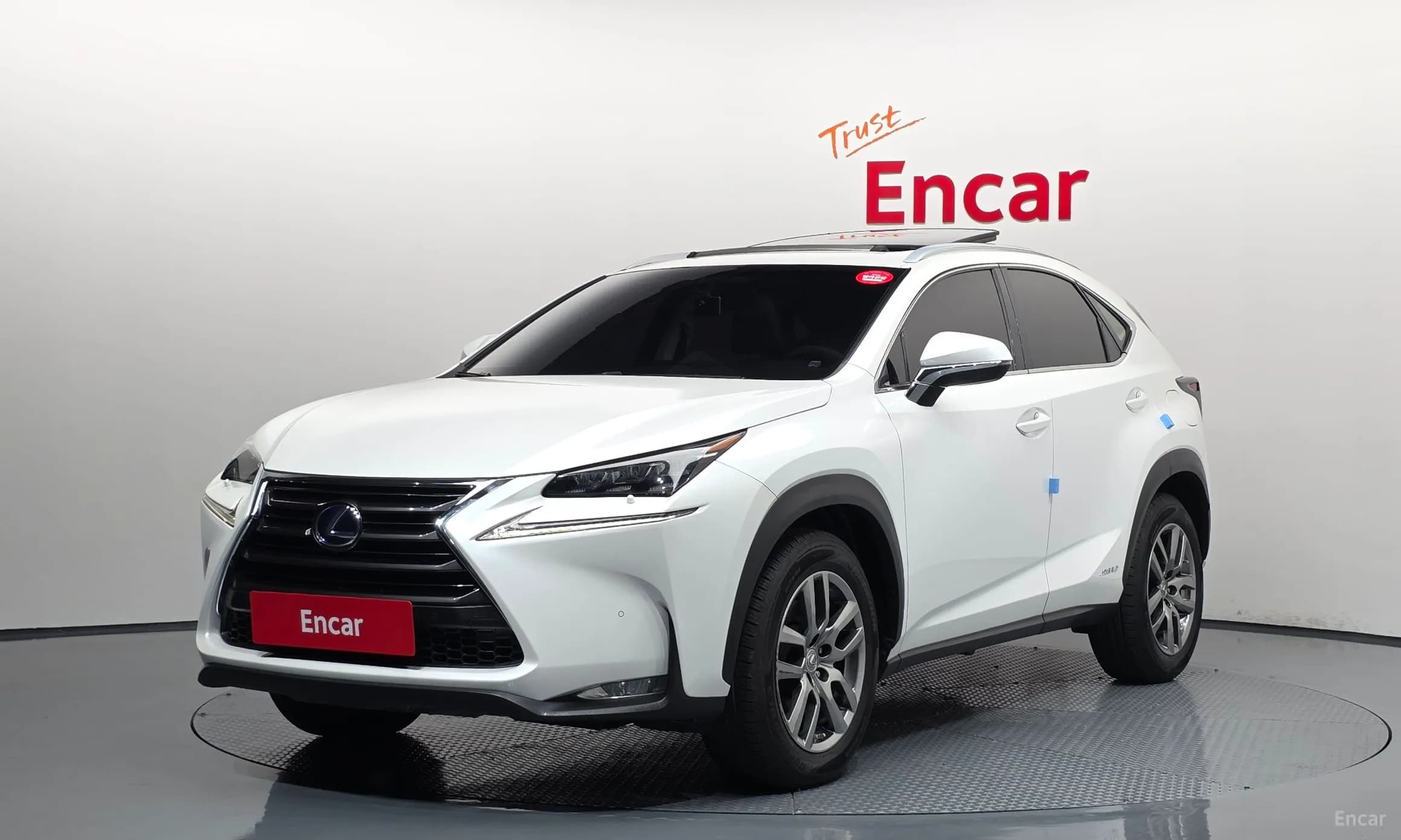 NX300h