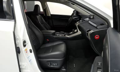 NX300h