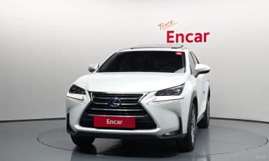 NX300h