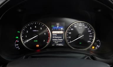 NX300h